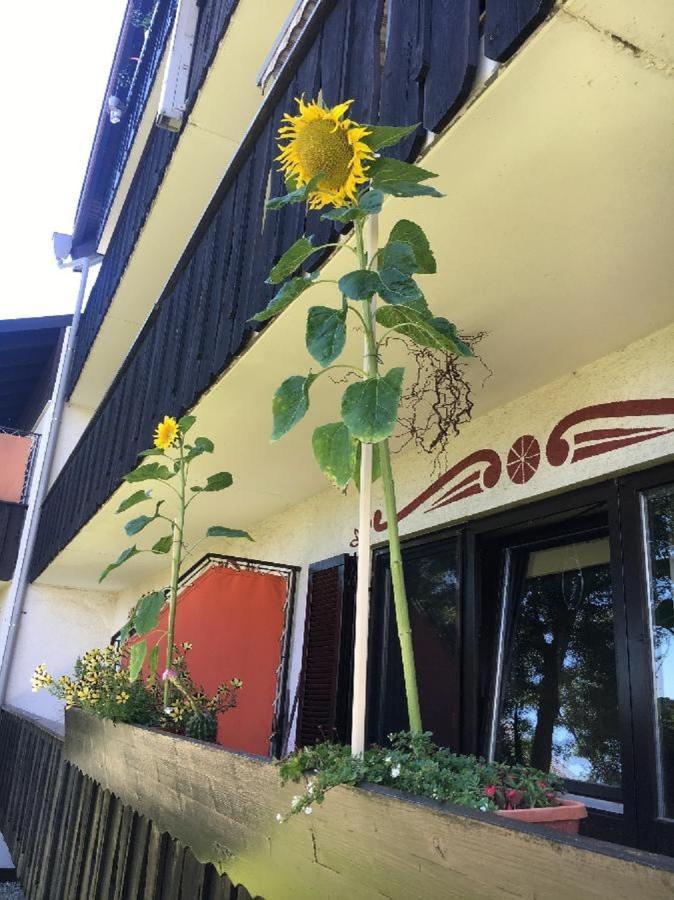 Ferienwohnung Hani ชปีเกอเลา ภายนอก รูปภาพ